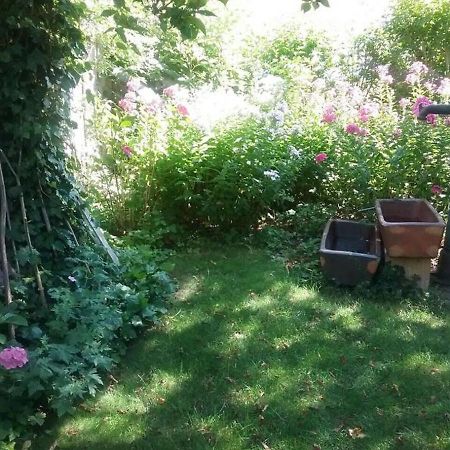 Ferienwohnung Ingeborg Schmitz Moos  Esterno foto
